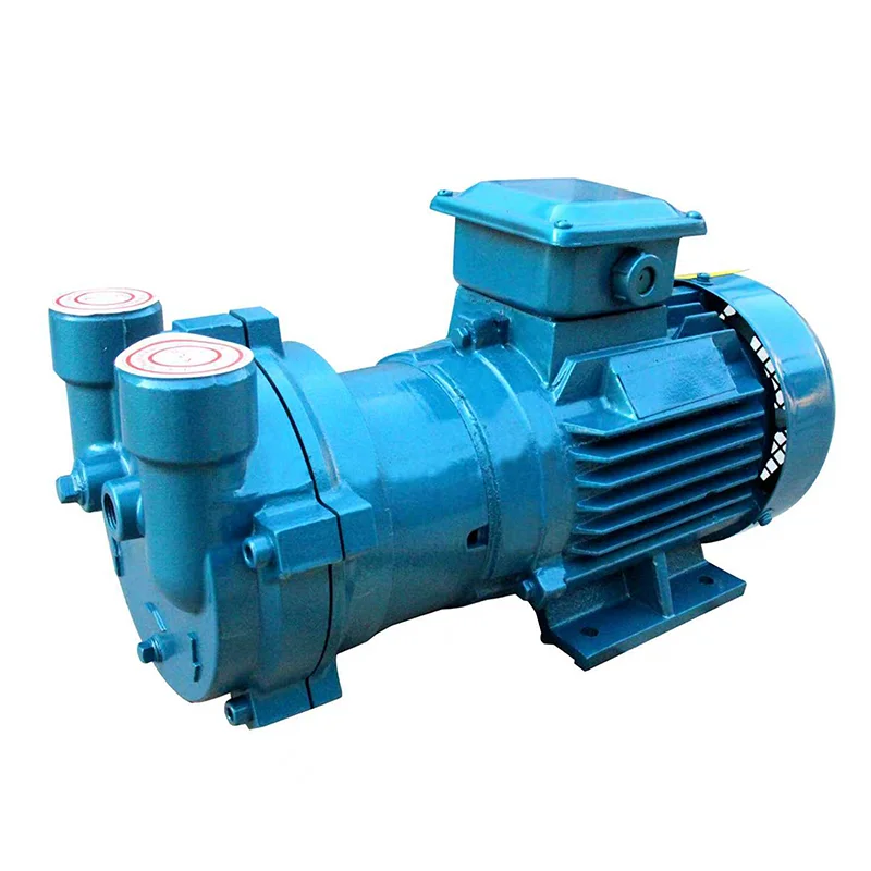 2BV Series 2BV2070 Single Stage Rotary Vane Vacuum Pump