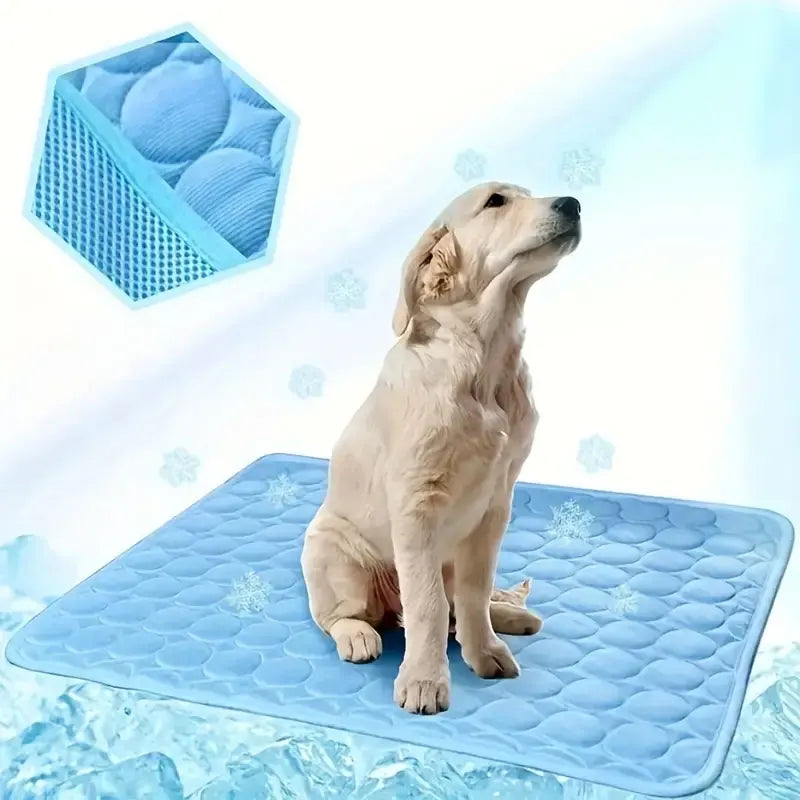 Pet Mat