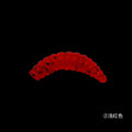 2cm/0.37g Artificial Red Worm Plastic Bread Worm Soft Bait Fishing Lure Worm Bait