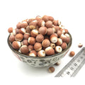 Qian Shi Natural Gorgon Euryale Seed Semen Euryales Dreid Gorgon Fruit for Herb Spice