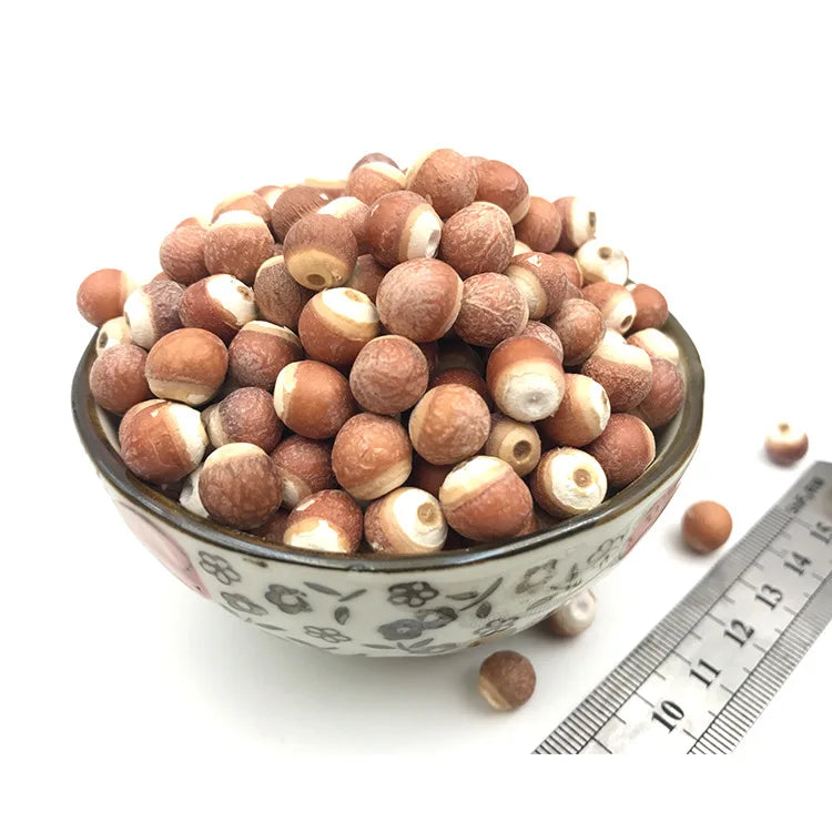 Qian Shi Natural Gorgon Euryale Seed Semen Euryales Dreid Gorgon Fruit for Herb Spice