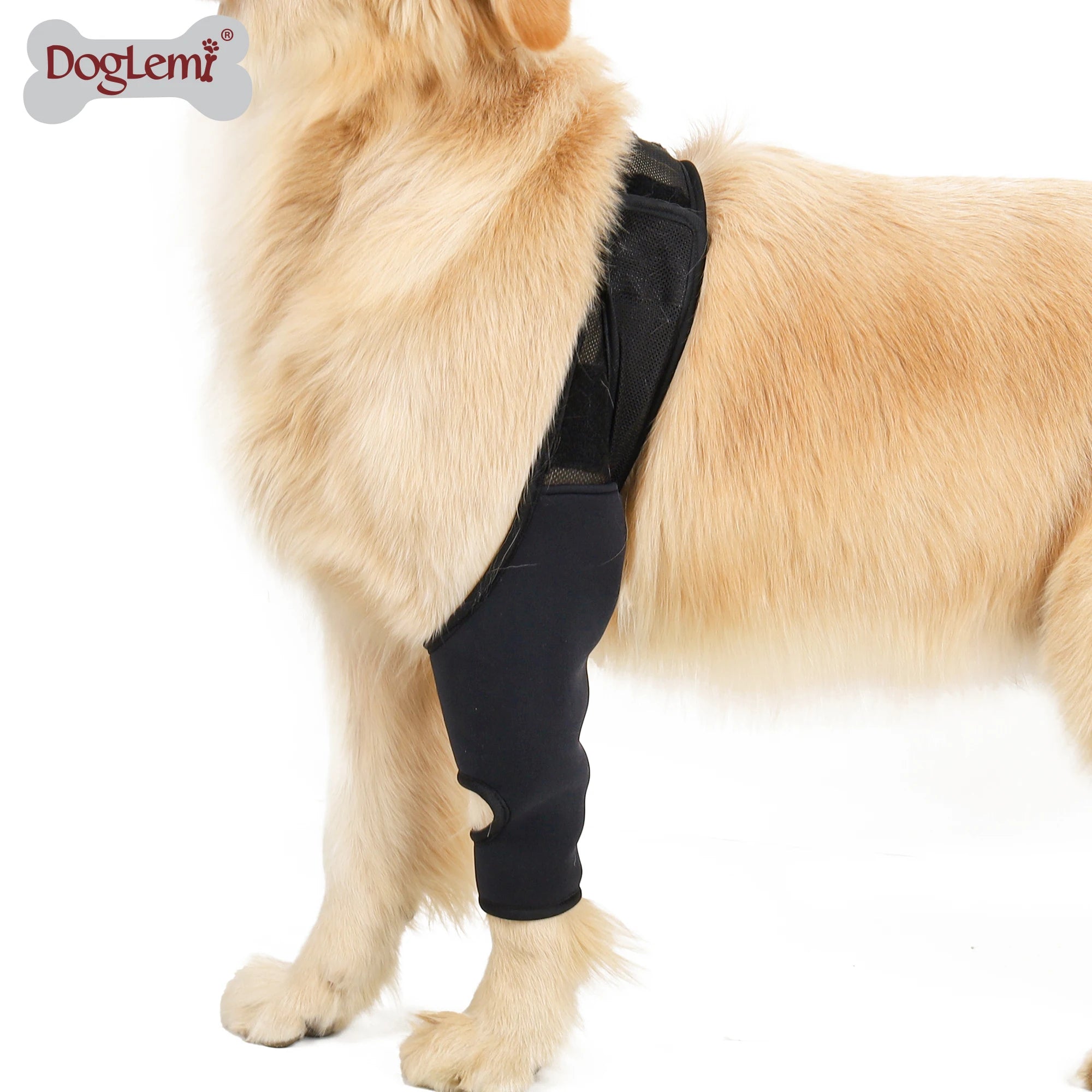 Soft Air Mesh Dog Leg Support Brace Protector with Eco-Friendly Material BSCI Certified for Pet Training & Behavior