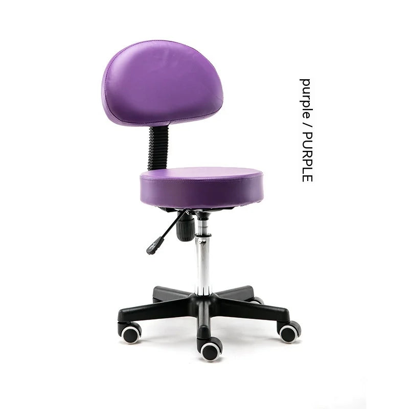 Rotating Pulley Lifting Backrest Salon Makeup Chair Hospital Gym Nail Spa Workers Beauty Stool Special Features Living Room