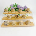 Wholesale Natural Healing Stone Crystals Frog Picture Jasper Frog for Decoration