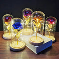 Glass Cloche Bell Jar Dome with Black Plastic LED Light Base for Christmas Wedding Party Valentine's Day Banquet Decoration