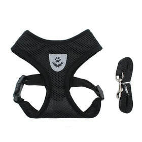 2 in 1 Reversible Luxury Dog Vest Harness with Reflective Polyester Bow Mesh Eco-Friendly Custom Pet Leash Collar by Little Guy