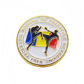 FRFK Federation Freestyle Kickboxing Pin Romania Martial Arts Taekwondo Judo Gold Plated Soft Enamel Badge