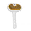 Spray Reptile Brush for Shedding Pet Grooming Comb Self-Cleaning Wet Function USB Rechargeable Water Tank Eco-Friendly ABS