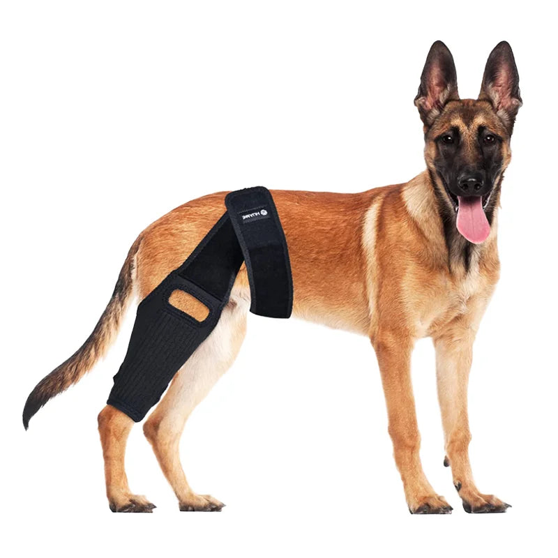 Dog Knee Brace for Hind Leg Injuries Anti-Licking Protective Cover Canine Knee Support Pad