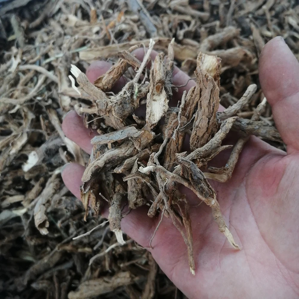Bulk Lycium Barbarum ROOT BARK Provide Lycium Barbarum Barks of Root for Sale