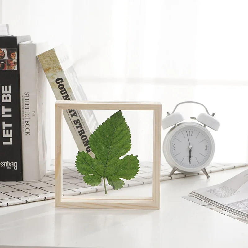 Factory 4x4 Stock MDF Double Side Glass Animal and Plant Specimen Shadow Box Frames