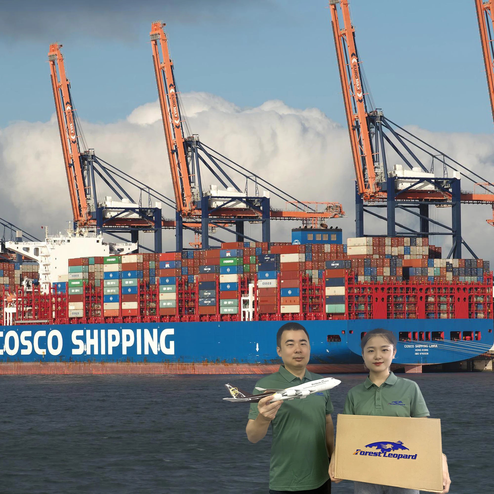 Cheapest Sea Freight Rates Drop Shipping Agent China to Germany France Italy Mexico UK USA FBA Amazon DDP Freight Forwarder
