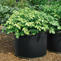 1 3 5 7 10 15 20 25 30 Gallon Felt Grow Bags Sturdy Breathable Fabric Plant Pots with Carry Handles