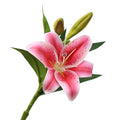 Single 3-head Film Feel Short Rod  Lily  Simulation Flower Plastic Flower Wedding Decoration Flower Wholesale