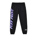 Hot Sell 360g Fleece Plush Sports Pants Fitness Jogging Gym Sweat Pants Streetwear Blank Unisex Custom Sweatpants Sports Pants