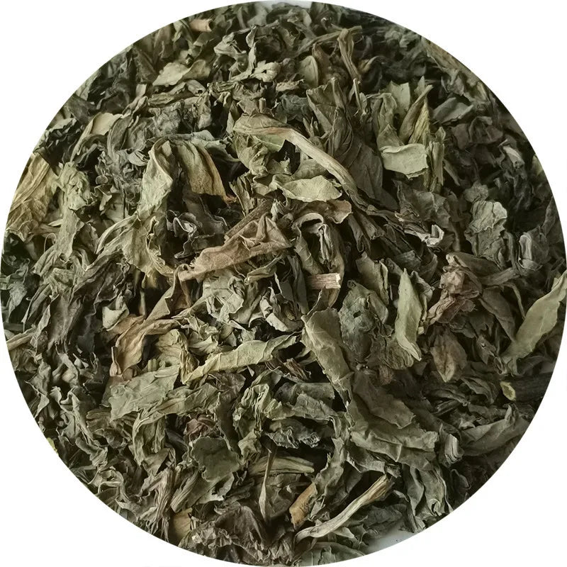 Dried Herbal Plants Real Patrinia Scabiosaefolia Stem Leaf Aboveground Parts Patrinia Scabiosaefolia Slices for Herbs