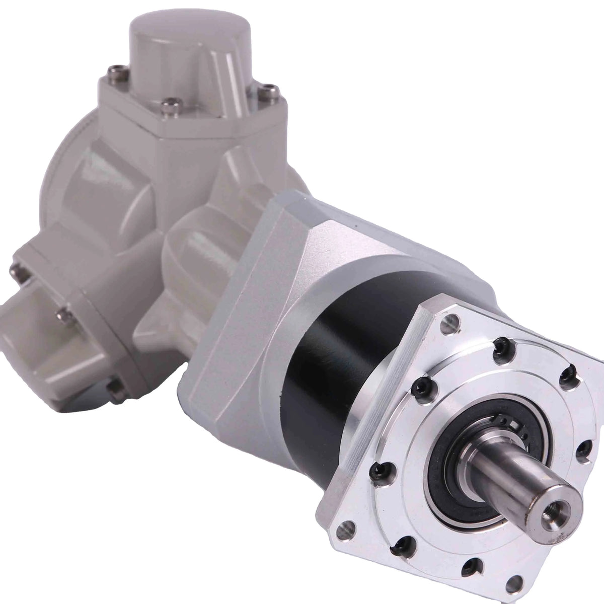 AM2 G1 /15 with Reducer Motor Explosion-proof Motor Pneumatic Motor/air Motor