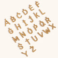 Dingran Charms Stainless Twisted Steel Initial Letter Charms & Pendants Gold Plated Jewelry for Making