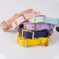 Okeypets Wholesale Custom logo Pvc Dog Collar Durable Blue Coated Fashionable Pvc Webbing Collar Dog with Name Tag