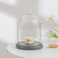 New Arrival Clear Glass Bell Dome Cloche with Wood Base for Display Candles Handicraft