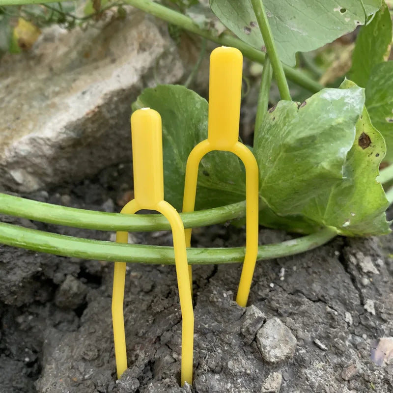 Factory Yellow PP Vegetable Garden Tomato Trellis Clips Plastic Plant Support Clip Agriculture Good