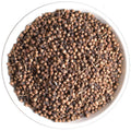 Shui Weng Hua Flower of Operculate Cleistocalyx Wholesale Cleistocalyx Operculatus Flower Buds for Sale