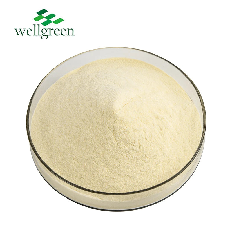 Bulk Sale Food Grade Omega 3 Fish Oil Powder Docosahexaenoic Acid Algae DHA Powder