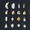 Natural Pendant Freshwater White Shell Charms for Jewelry Making