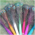 Wholesale Dyed Peacock Tail Ornament Colored Peacock Feather