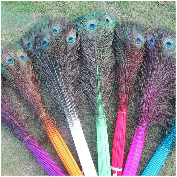Wholesale Dyed Peacock Tail Ornament Colored Peacock Feather