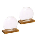 Creative Glass Vase Bubble Shape Colorful Hydroponic Tabletop Large Small Luxury Contemporary for Home Party Wedding