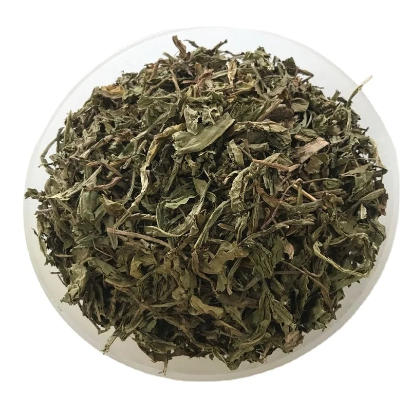 5049 Pu Gong Ying Ye Hot Sale Dried Dandelion Leaf for Tea