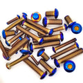 Custom Fastener Motorcycle Torx Hex Head Anodized Titanium Socket Screw