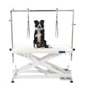 USMILEPET Professional Electric Lift Premium LED Pet Grooming Table Heavy Duty Illuminated Table for Pet Grooming Salon