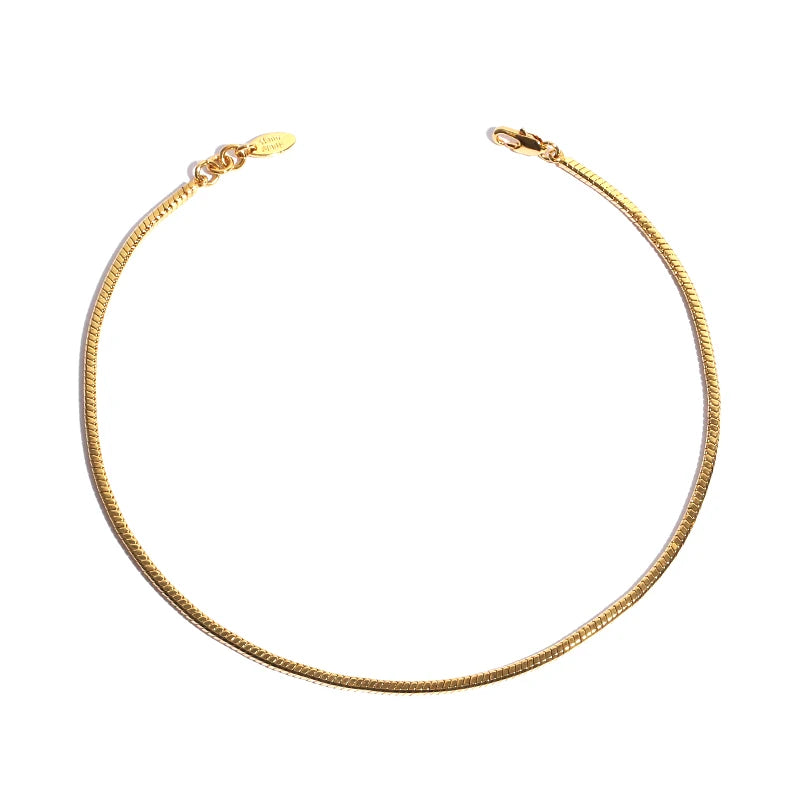 Classical PVD Real Gold Plated Minimalist Chain Necklace INS Hot Sale Cool Style Snake Chain Necklace
