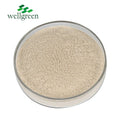 Bulk Price Yeast Beta Glucan Powder Healthy Supplement 9041-22-9 Natural Yeast Cell Wall Extract Yeast Beta Glucan