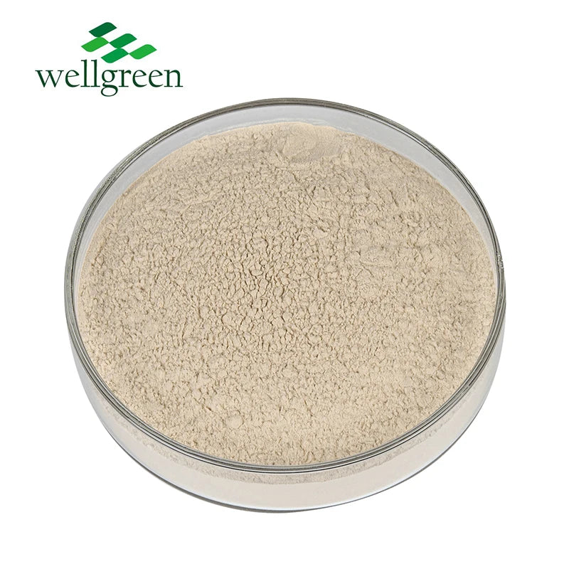 Bulk Price Yeast Beta Glucan Powder Healthy Supplement 9041-22-9 Natural Yeast Cell Wall Extract Yeast Beta Glucan