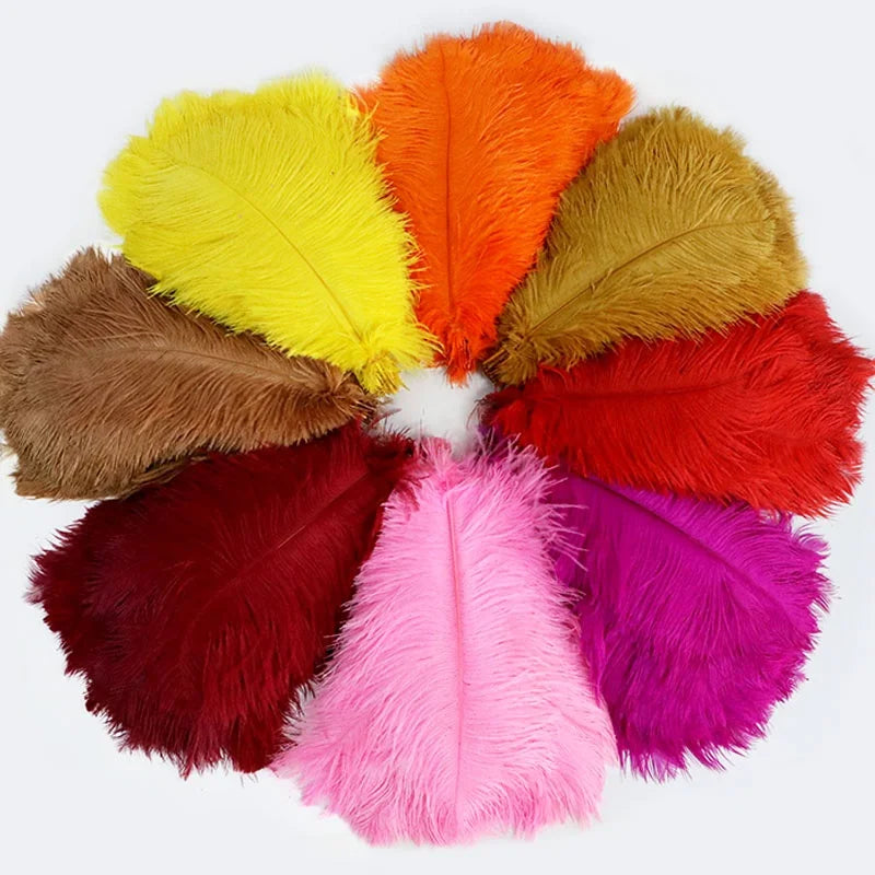 10-12inch Wholesale High Quality Dyed Multi-Color 25-30CM Smooth Fluffy Cheap Large Ostrich Feathers for Crafts