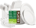 10000PCS Disposable Biodegradable Customized Size Sugarcane Bagasse Paper Plates Set Forks Knives Spoons-BPA Free Party