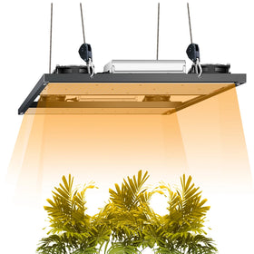 Europe Brazil Rusia Warehouse Yuxniou 240w 480w 720w Led Grow Light for Veg and Bloom Replace 1000 Watt Hps Grow Lights