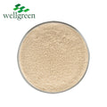 Beta Powder Beta-Glucan Cell Wall with High 100% Nature 80% 70% Yeast Glucan