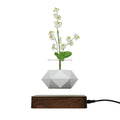 Magnetic Air Bonsai Floating Magical Plant Levitation Pots Flower Bonsai for Decoration Give