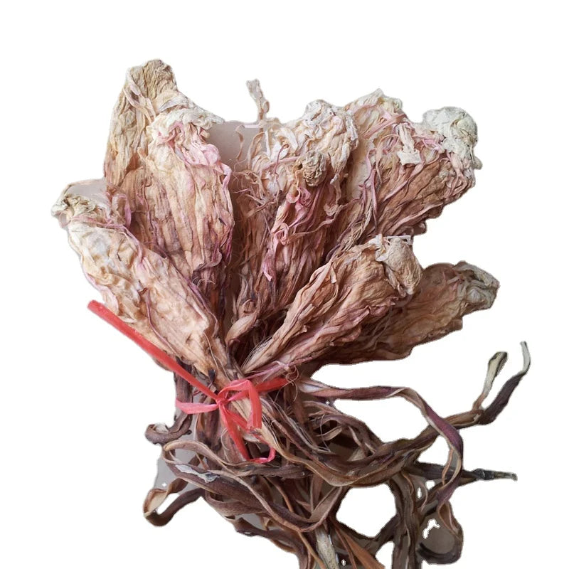 20pcs Natural Raw Dried 100% Pure Epiphyllum Oxypetalum Dried Whole Nishagandhi Flowers