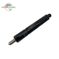 Fuel Injector KBEL-P004 KBELP004 E0800-C-005 10431113946 592G4700-A-A38 for YC4110ZLQ YC6112ZLQ