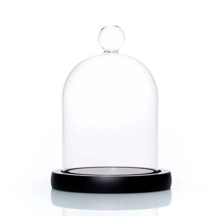 Hot Selling 100% Hand Made Wholesale Glass Display Dome Cloche for Decoration