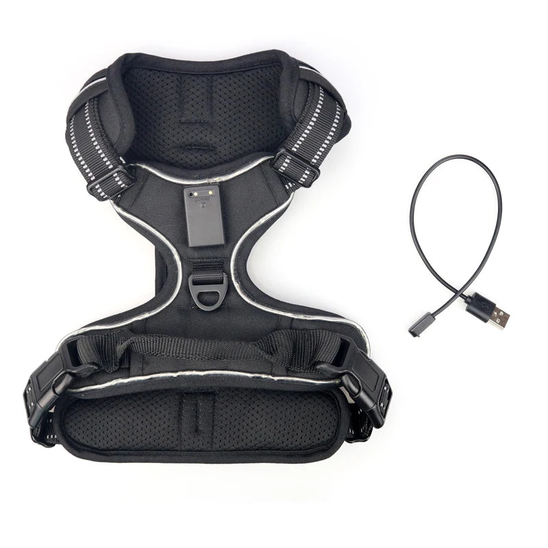 Custom XL Dog Harness Set with LED No-Pull Nylon Pet Harness & Reflective Pull-Free Leashes Fiber Collar Leash Walking