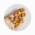 100pcs Gold Color 3D Kawaii Resin Crown Miniature Figurines Decoration Doll House  Accessories Flatback Decorative Statue Charms