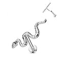 New Release Titanium Pin 16g/18g Set Snake Nose Earrings Variety Styles Lip Body Women's ASTM G23 Jewelry with F136 Couple