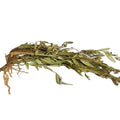 Premium Dried Whole Polygala Japonica Cuts Japanese Milkwort Herb for Sale