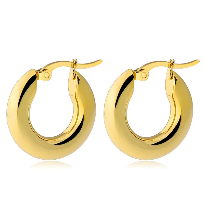 2 2.5 3cm Stainless Steel 5mm Thick Small Chunky Hoop Huggie Earring Women Earrings Accessories Outfit Party Jewelry